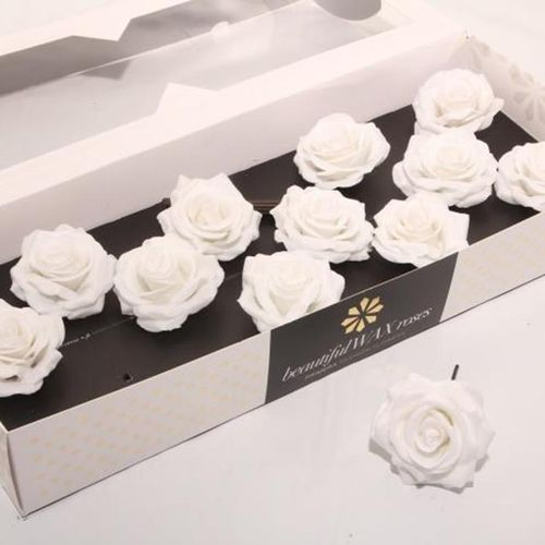 Seiden Wachs Rose weiss D10cm (9640)