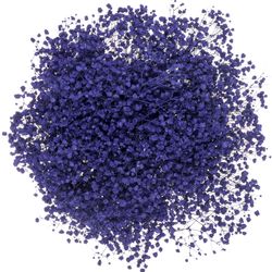 Gyps blau grosse Blüte gefärbt