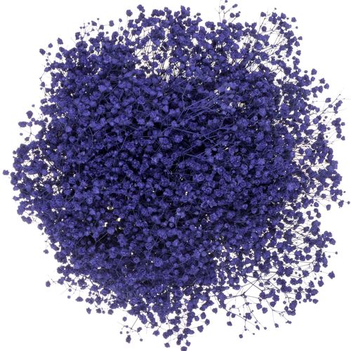 Gyps blau grosse Blüte gefärbt