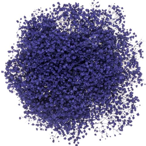 Gyps blau grosse Blüte gefärbt