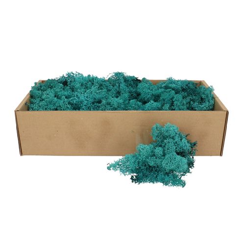 Islandmoos blau/grün 500gr im Karton
