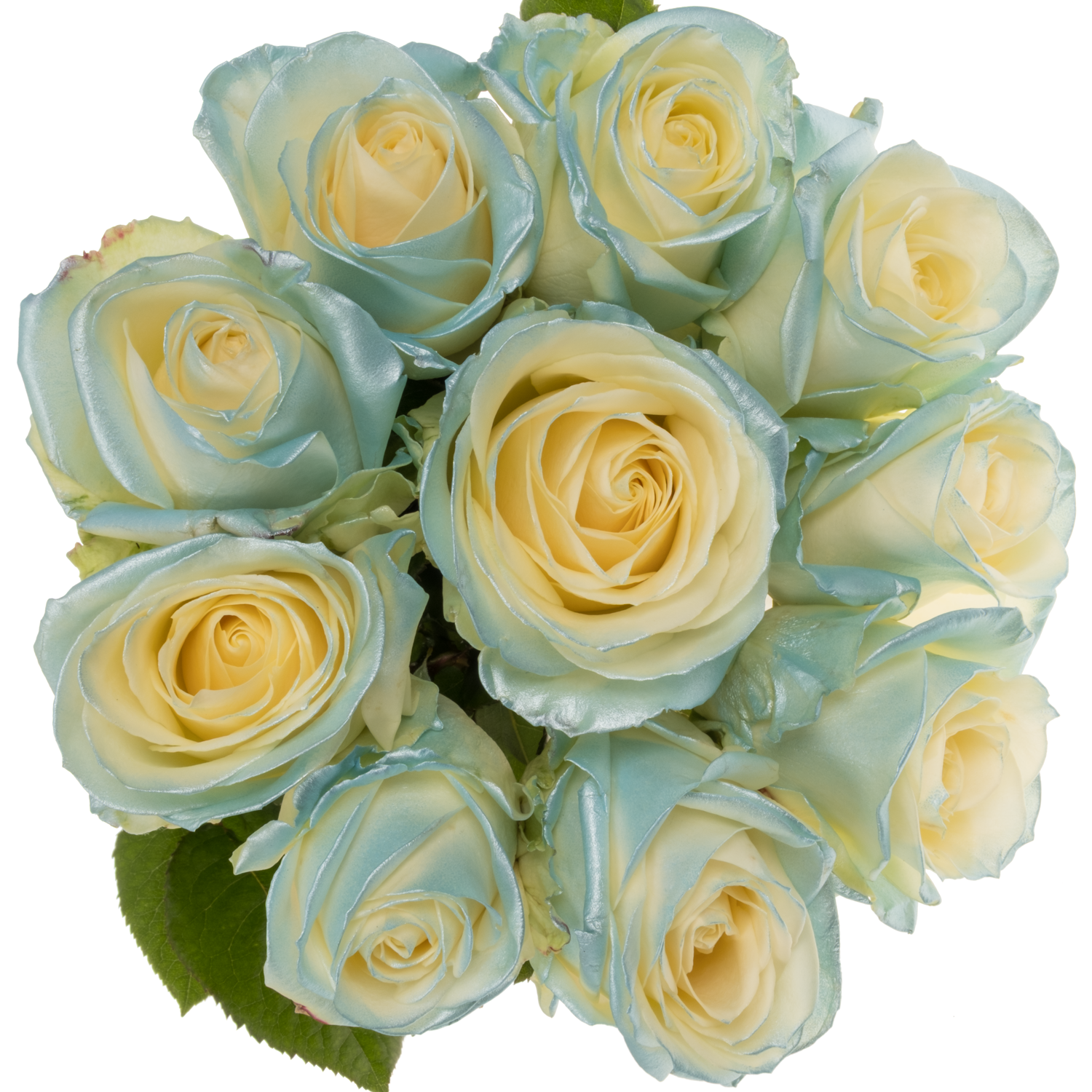 Rose blau/creme/weiss Baby Satin 70cm