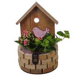 Kal.Arr PTIB5261 T16 H026