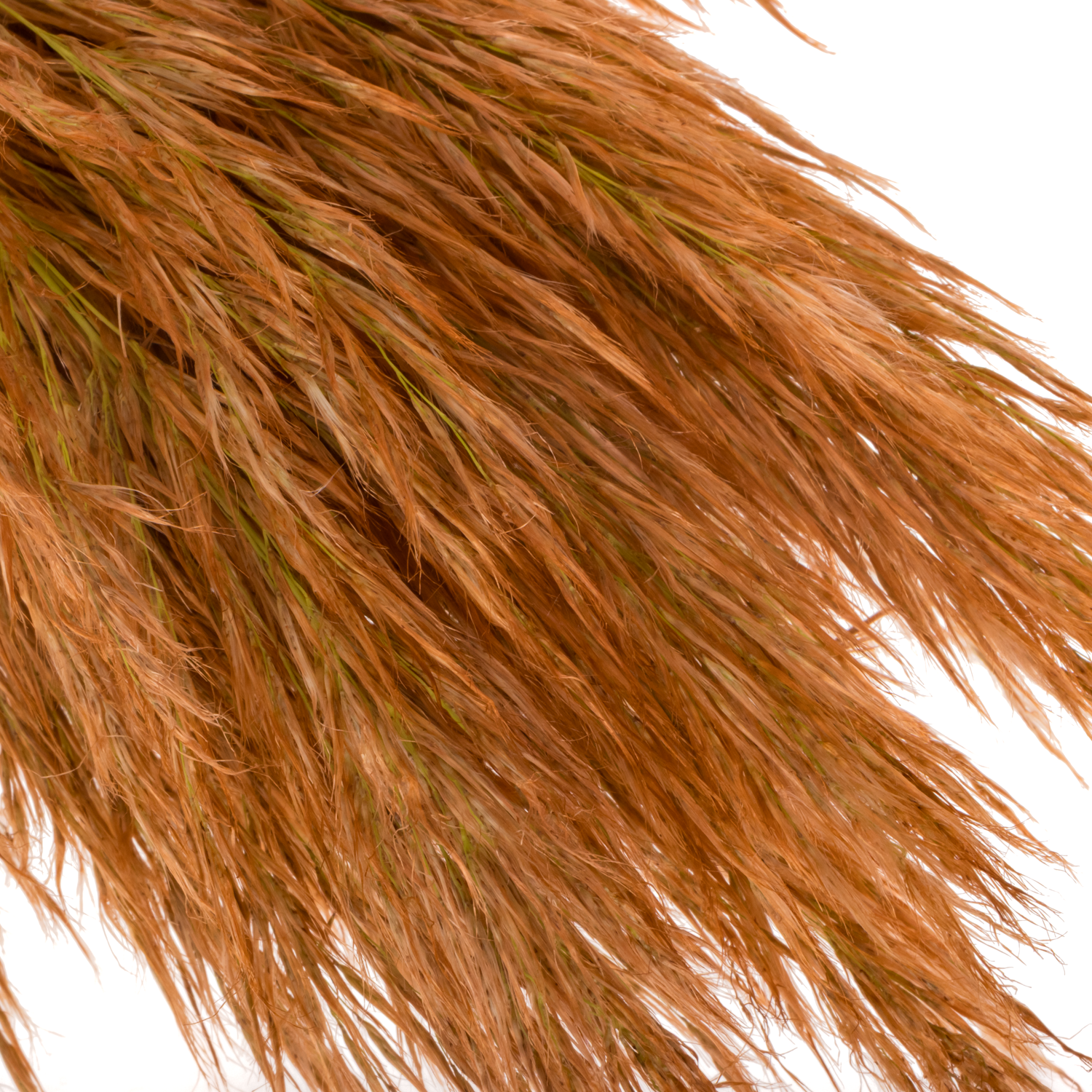 Pampas Frisch braun/kupfer gefärbt 90cm