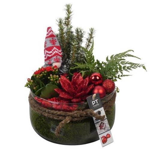 Picea.Arr PTCHR7447 Weihnachten T19 H028
