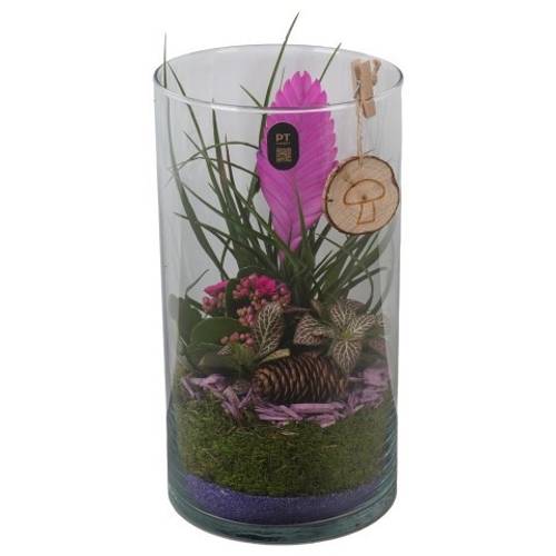 Tilland.Arr PTHG8310 Herbst T16 H032