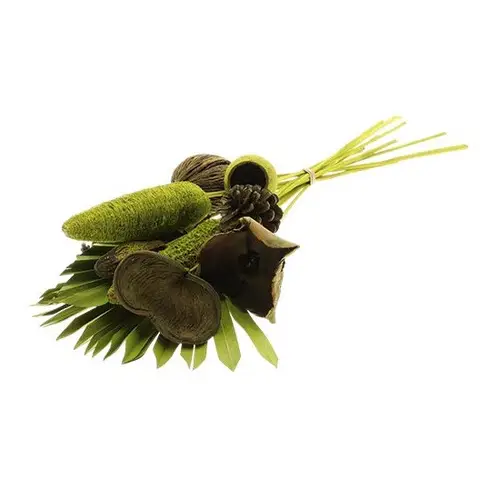 Trockenblumen Strauss Exotic grün L55cm