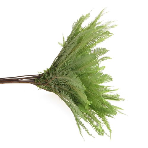 Umbrella grün Koraal 60cm (10stiele)