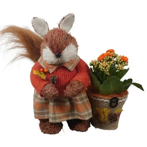 Kal.Arr PTHI3328 Herbst T21 H027