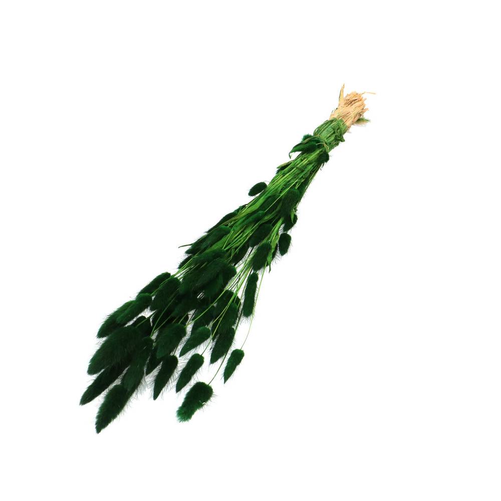 Trocken Lagurus dunkelgrün L60cm 50gr