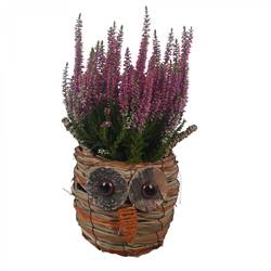 Garten.Arr PTHO7735 Herbst T13 H031
