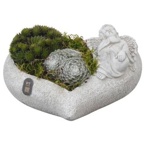 Semper.Arr PTAH3018 Allerheiligen T25 H010