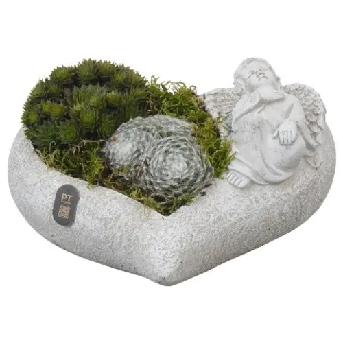Semper.Arr PTAH3018 Allerheiligen T25 H010