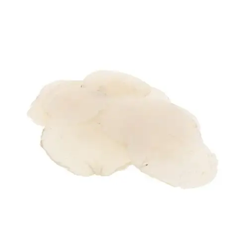 Muschelschalen Capiz natur weiss 1kg