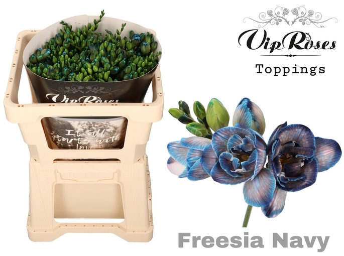 Freesie blau navy gefärbt 50cm