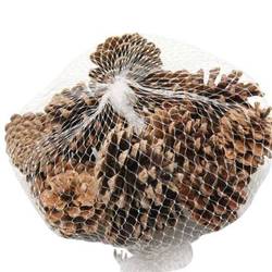 Trocken Pinea natur x15