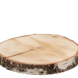 Trocken Birke Scheibe D24/27cm H03cm