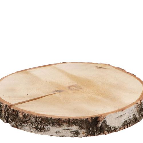Trocken Birke Scheibe D24/27cm H03cm