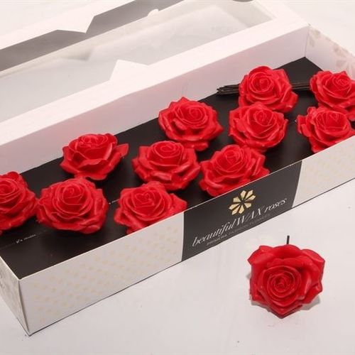 Seiden Wachs Rose rot D10cm (9510)