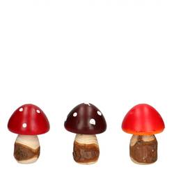 Pilz Pixie 06X09cm