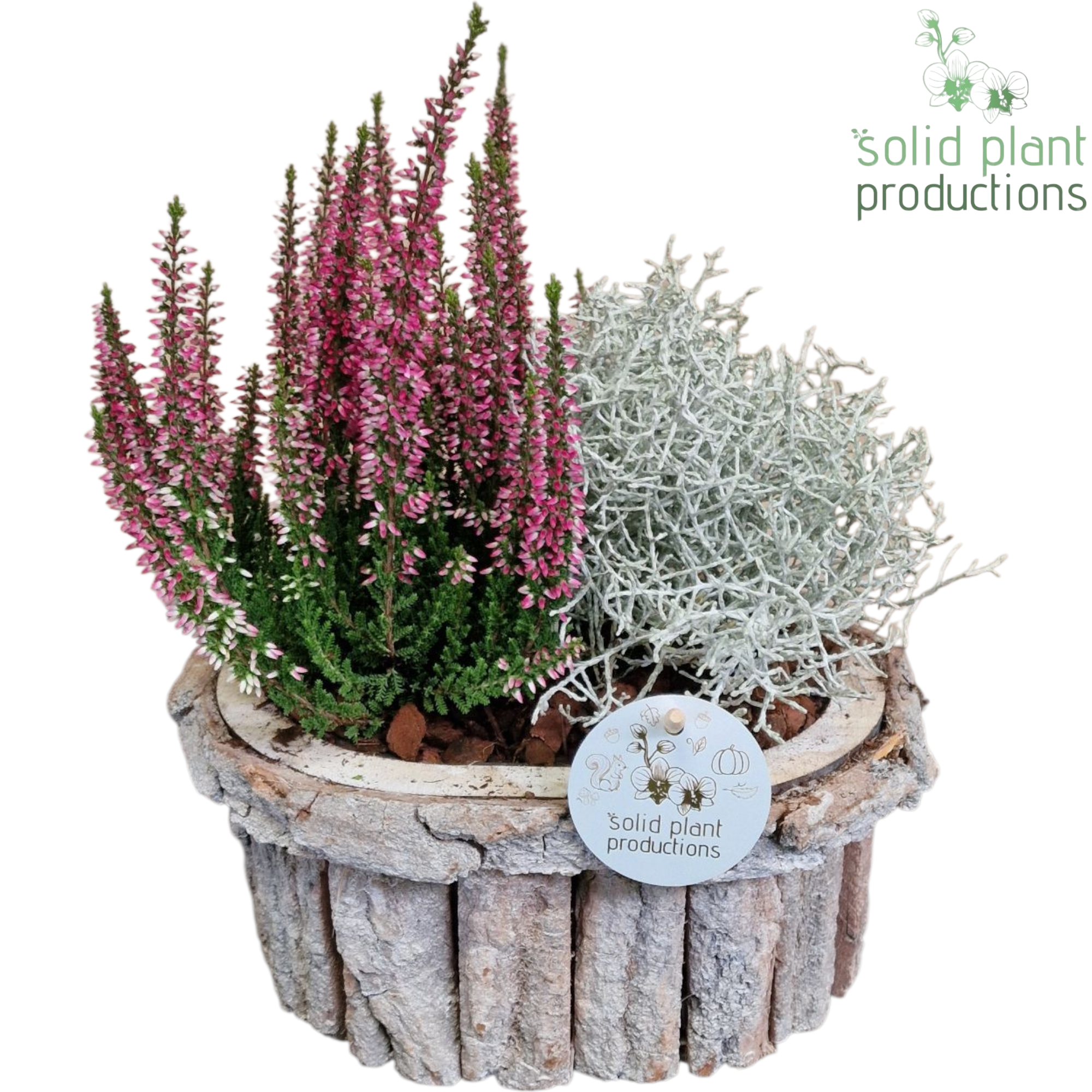 Garten.Arr BOS007 Herbst T22 H038