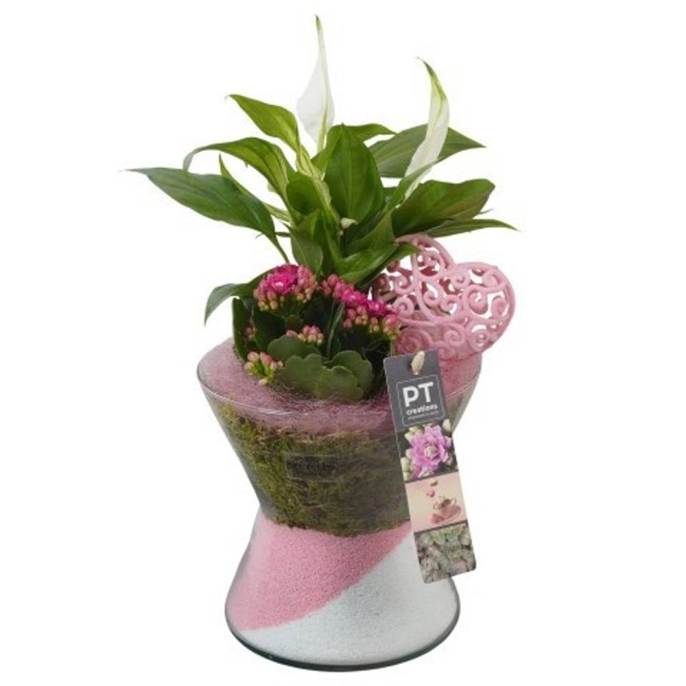 Spath.Arr PTVMG4938 T15 H030