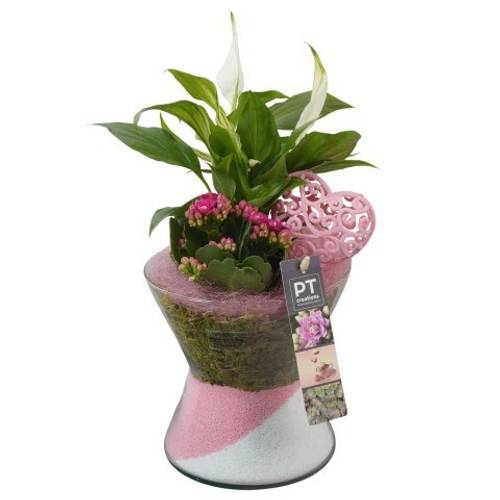 Spath.Arr PTVMG4938 T15 H030