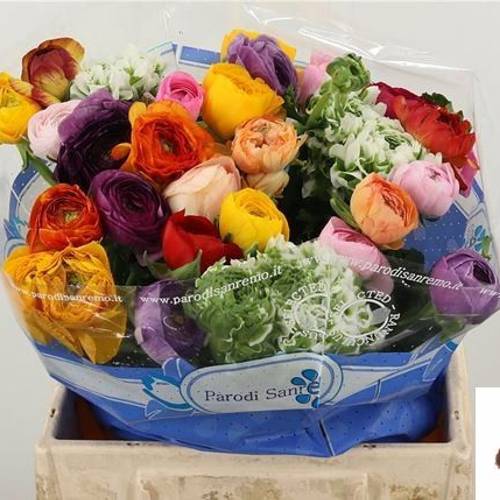 Ranunkel mix im Bund Parodi 40cm x 30