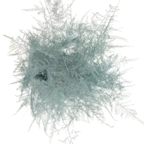 Plumoses hell blau gefärbt 45cm