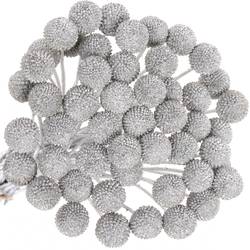 Craspedia silber gefärbt 70cm