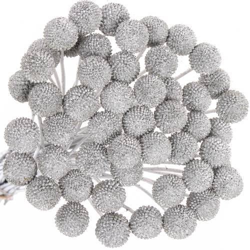 Craspedia silber gefärbt 70cm