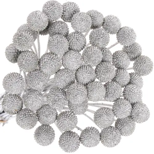 Craspedia silber gefärbt 70cm