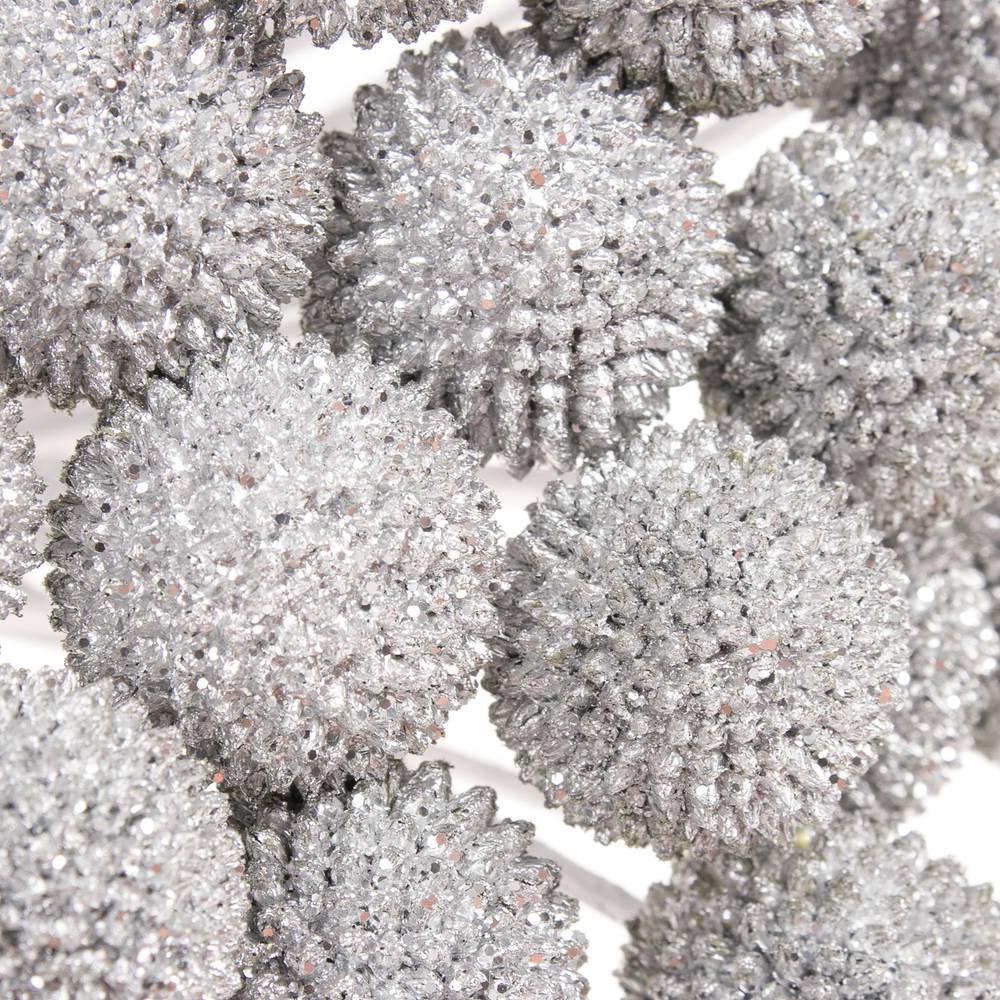 Craspedia silber gefärbt 70cm