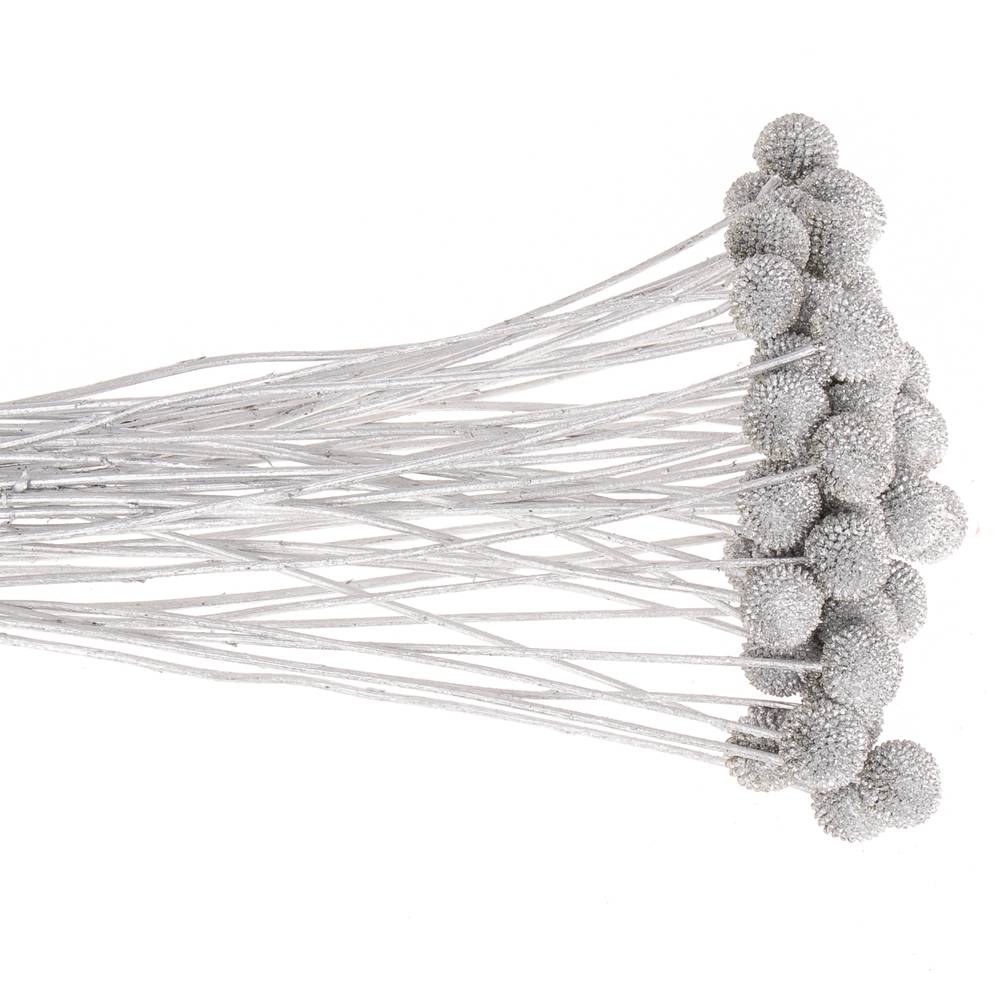 Craspedia silber gefärbt 70cm