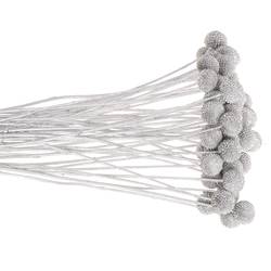 Craspedia silber gefärbt 70cm