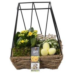 Kal.Arr PTPB6573 Ostern T19 H024
