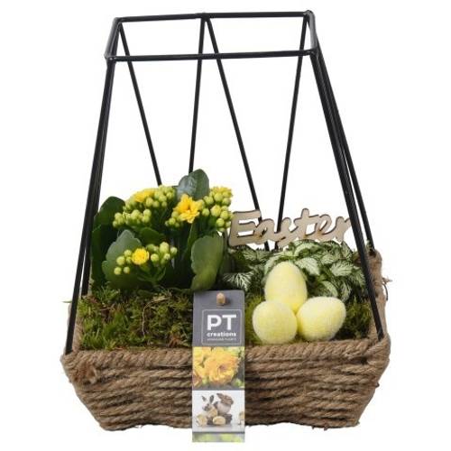 Kal.Arr PTPB6573 Ostern T19 H024
