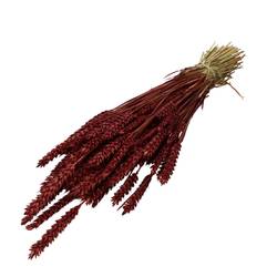 Trocken Weizen rot L70cm