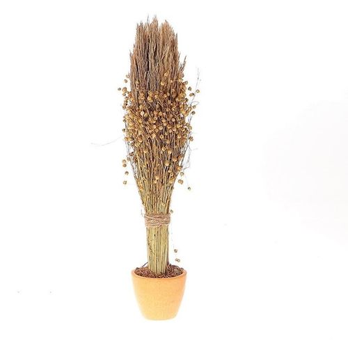 Trocken-Blumen Übertopf Tissi nanal grass d12X53cm