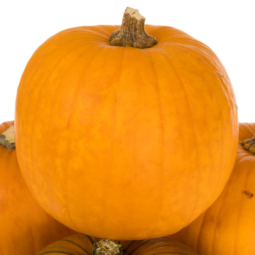 Zierkürbis orange Halloween 15cm