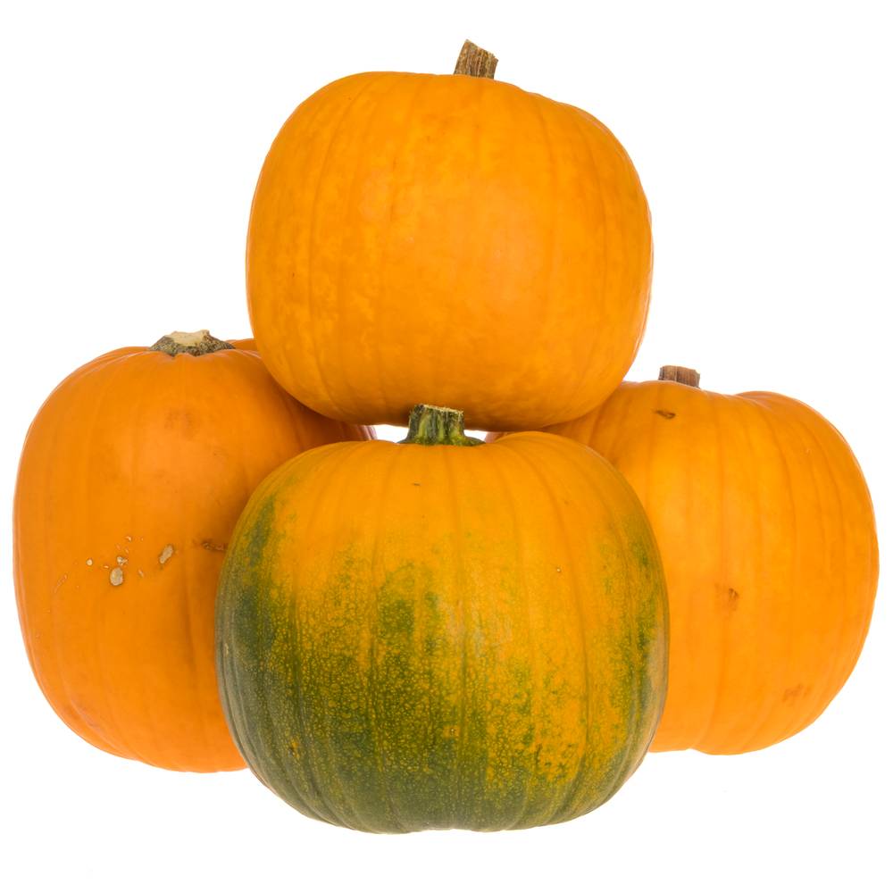 Zierkürbis orange Halloween 15cm