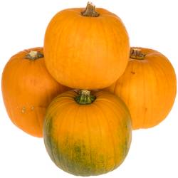 Zierkürbis orange Halloween 15cm