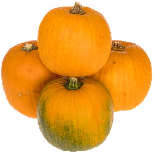 Zierkürbis orange Halloween 15cm