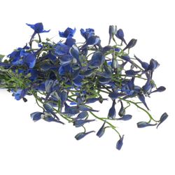 Delphinium blau Waltz 70cm