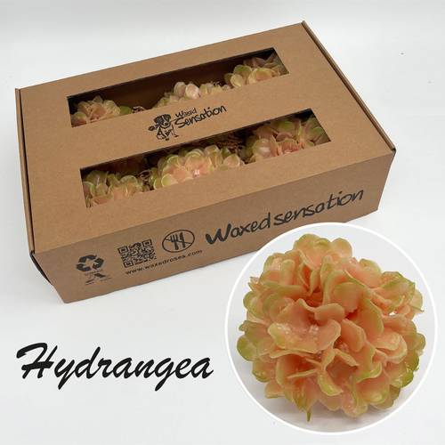 Seiden Wachs Hortensie lachs