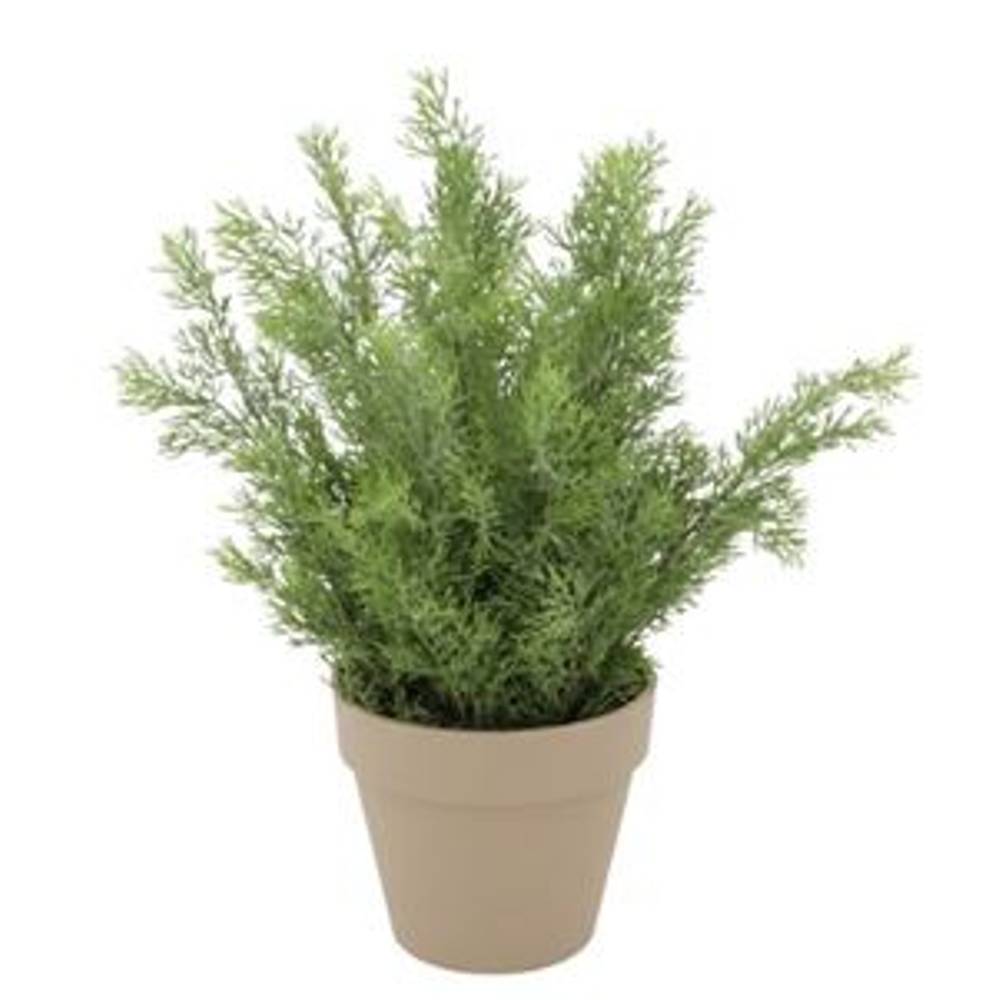 Seiden Zypresse im Übertopf D33cm H50cm