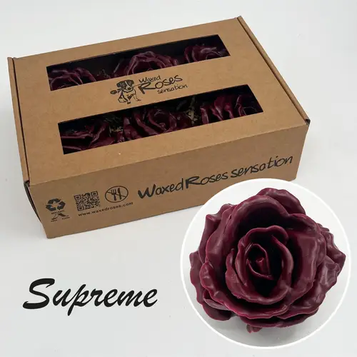 Seiden Wachs Rose Supreme weinrot