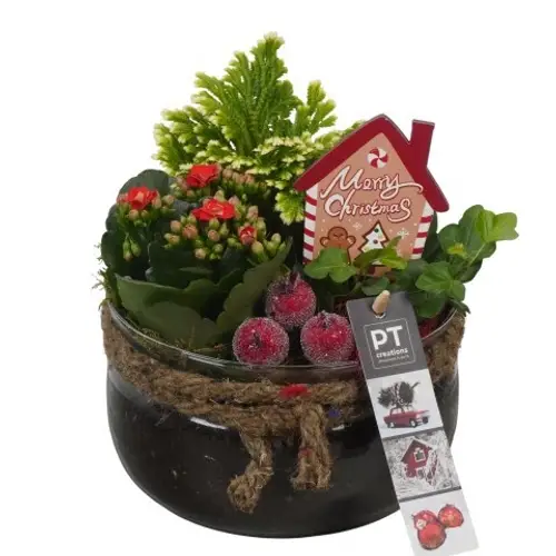 Kal.Arr PTCHR7440 Weihnachten T16 H018