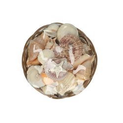 Muscheln Midrib mix D20cm H09cm