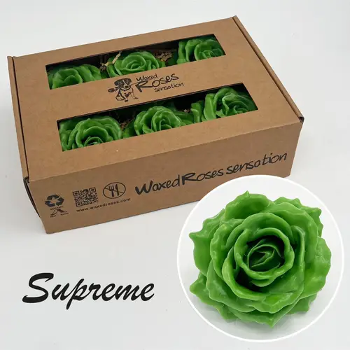 Seiden Wachs Rose Supreme grün